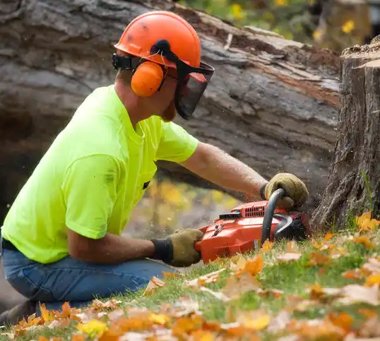 tree services St. Bonifacius